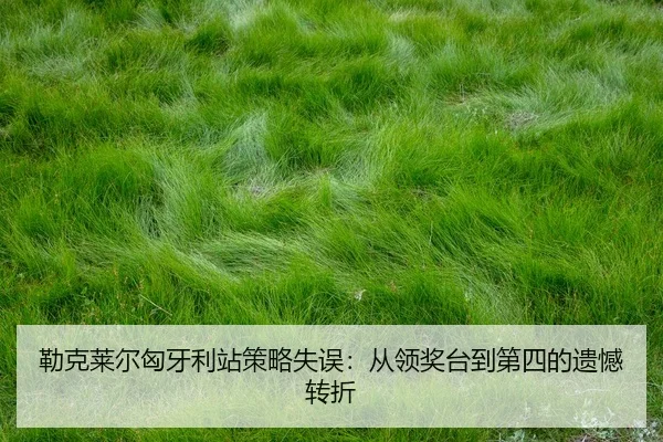 lei-ke-lai-er-xiong-ya-li-zhan-ce-lve-shi-wu-cong-ling-jiang-tai-dao-di-si-de-yi-han-zhuan-zhe-2-920.jpg