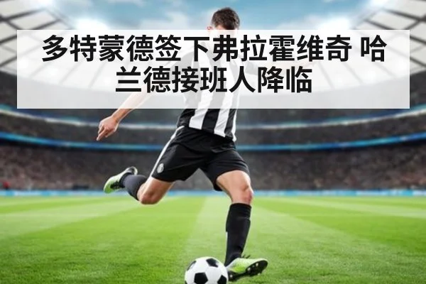 多特蒙德签下弗拉霍维奇 哈兰德接班人降临