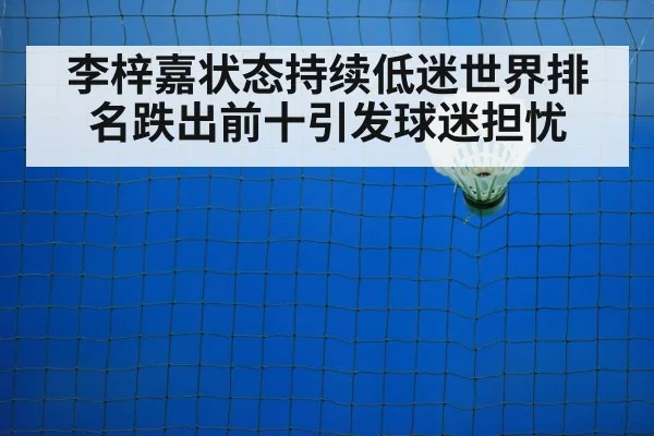 badminton training court